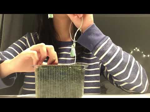 ASMR eating seaweed *intense*