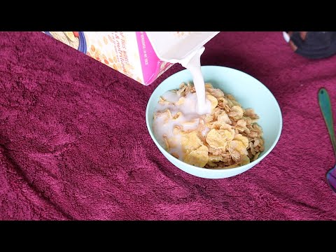 HONEY BUNCHES OF OATS CEREAL ASMR EATING SOUNDS