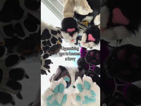 Common i know you want to become a fuzzy too :3 #furry #fursuit #fursuitfriday #fursuiters