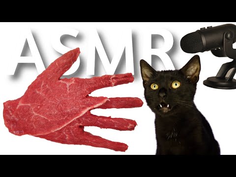 CAT EATING MEAT ASMR