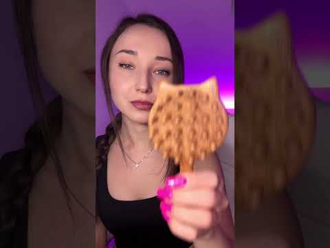 ASMR Cat Wooden Brush 🐱 #asmr #relax #sleep #brush #cat