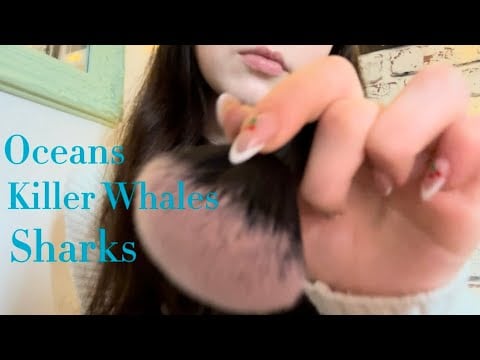 ASMR - Whispering Ocean Facts + Brushing your Face for Sleep 🌊💤