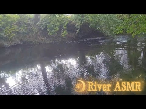 ASMR at the River 💧