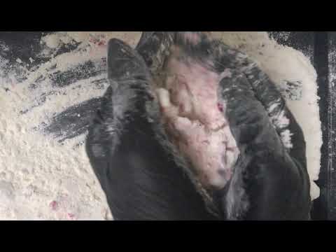 LATEX GLOVES ✋🤚   HELLO THERE  ! ▪ ▪  ▪ PIE LOVER !😉 💋 WHISPER 💕  MESSY   [[ASMR]]