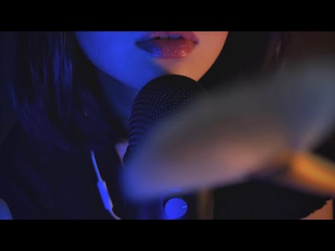 Asmr Mouth Sounds , Face Brushing , Fall Asleep , No Talking