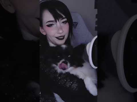 a cute dog to brighten your day? 🥺👉🏻👈🏻 || #asmr #asmrshorts #altgirl #gothgirl #dog #whispering