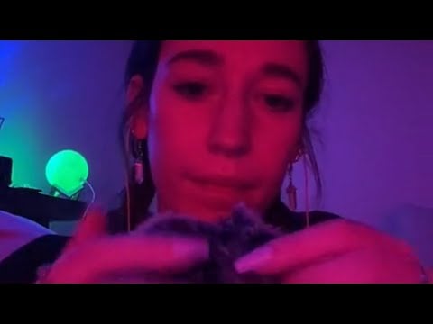 ASMR bug search (livestream clip)
