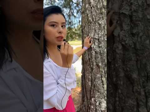 ASMR con árboles 🌲 #vicoasmr #asmr #asmrvideo #roleplay #asmrsounds #parati