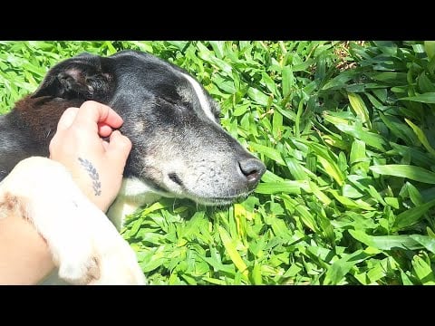 Asmr na rua| sons de boca sons de mãos tapping massagem 