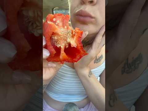 ASMR- EATING A CRUNCHY RED PEPPER 🌶️ WHAT SHOUD I EAT NEXT? #shorts #asmreating #asmrfood