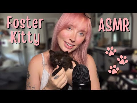 ASMR Foster Kitten Reveal 🐈‍⬛ (soft whispers)