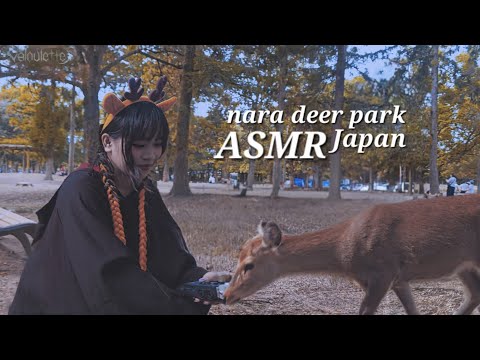 asmr at nara deer park 🍂🦌🇯🇵 Nara, Japan.