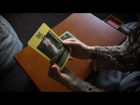 ASMR | Timeless Tarot Pick-a-Card Reading | Soft Spoken