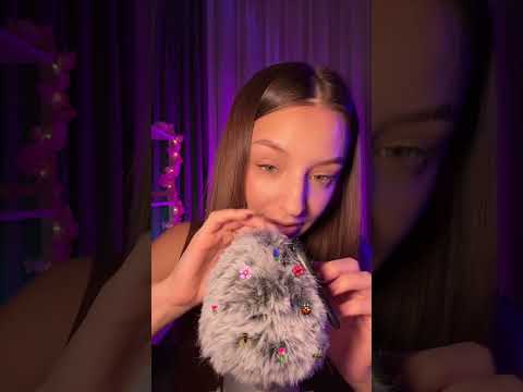 Bugs asmr 🐛