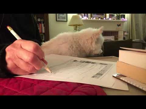 Asmr Roleplay (no ads)- relaxing office ergonomic evaluation. Soft spoken