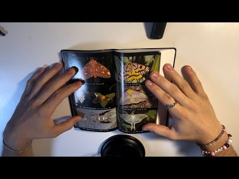 ASMR Reading about cool Bugs