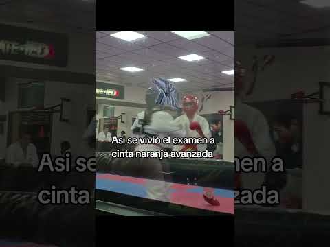 cinta naranja avanzada #artes marciales