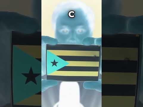 ASMR | Guess The Flag - Negative edition