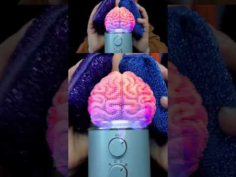 ASMR 🧠 BRAIN TINGLES... Literally! Sleep & Relaxation #asmr #shorts