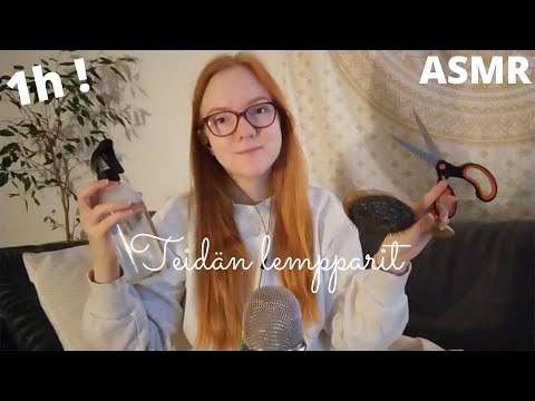 ASMR SUOMI ✨ 1h teidän lempi triggereitä ✨ Suuääniä • Kuiskauksia • Naputtelua