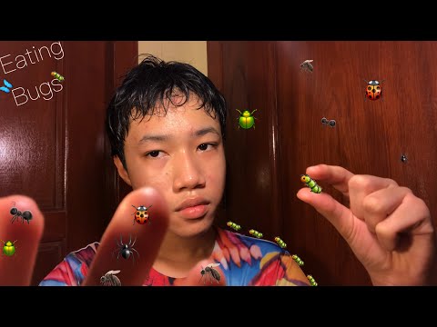 ASMR Eating Bugs Out of Your Hair 🐛