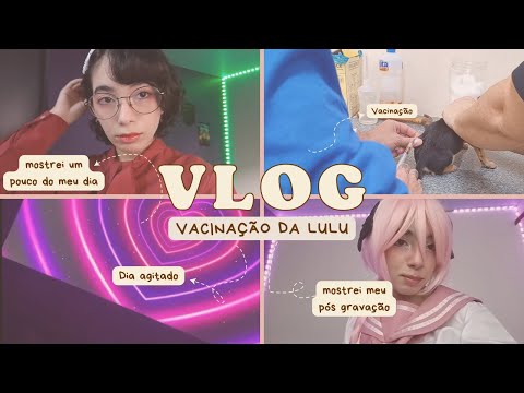 ASMR VLOG #5 | LEVEI A CACHORRINHA PARA SER VACINADA + COMPRINHAS! MOSTREI TUDO!