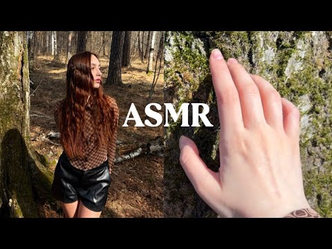 𝓐𝓢𝓜𝐑 в лесу | бешеная белка 