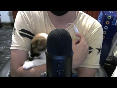 ASMR con la bendi antes de navidad