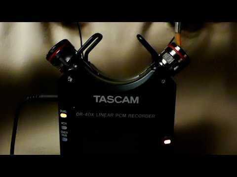 ASMR - Intense Tascam Trigger Assortment