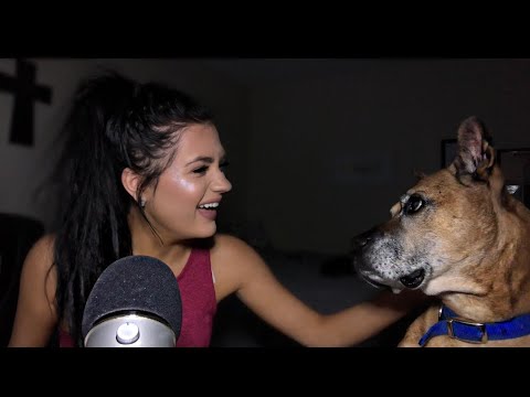 ASMR | WITH MY DOG+ STORYTIME ON HOW I GOT HER