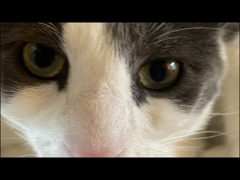 ASMR FAST AND AGGRESSIVE