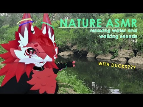 [FURRY ASMR] Relaxing Forest Journey outside  (Calming River, Crunchy Gravel, Singing Birds)