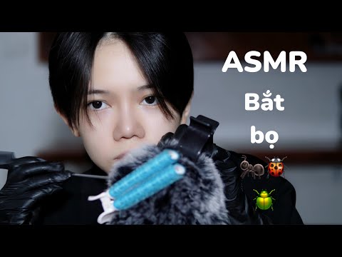 ASMR VIỆT NAM | Kiểm tra 🐜🐞🪲 trên mic của tôi - Check bugs on mic