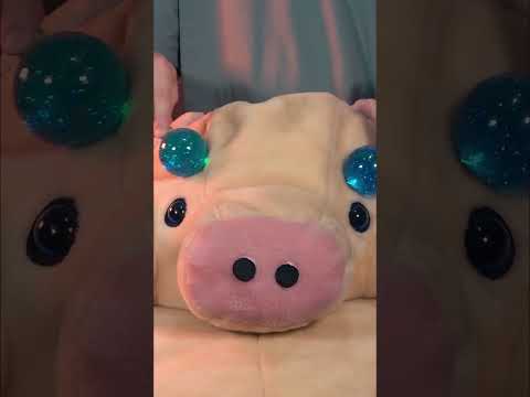 #asmr pig pampering #asmrearcleaning #asmrsounds #asmrnotalking