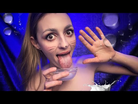 ASMR kitty Licks fingers with milk 💦