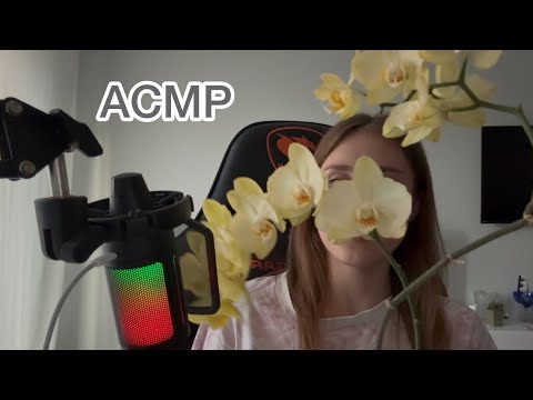 Асмр українською 🇺🇦розмовне відео тихий шепіт