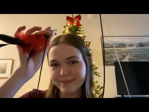 asmr with cat toys