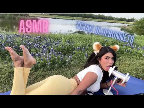 ASMR TEXAS BLUEBONNETS 2023 Ear Licks + Outdoor ASMR