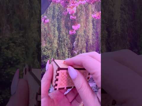 What’s in the box? #asmr