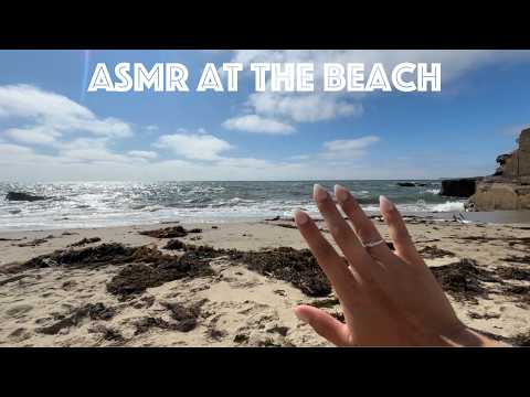Lofi ASMR at the Beach 🏖️☀️
