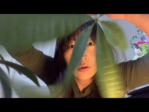 Weird Plant Therapy Massage Salon  ASMR