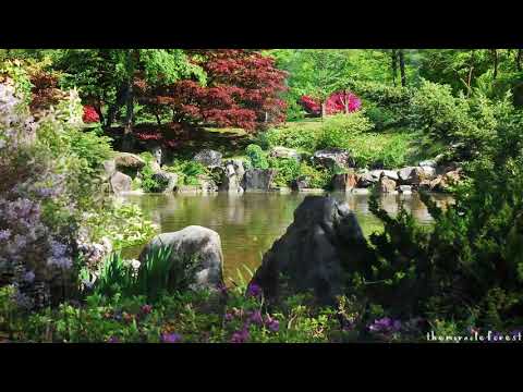 Spring Garden ASMR Ambience