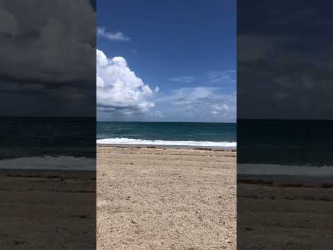 Pause. Listen and breathe for 60 seconds. Everything will be okay.