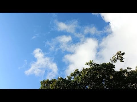 ASMR:MOUTH SOUNDS, NATURE, ANIMALS, OUTDOOR AIR.🍃🕊🐓