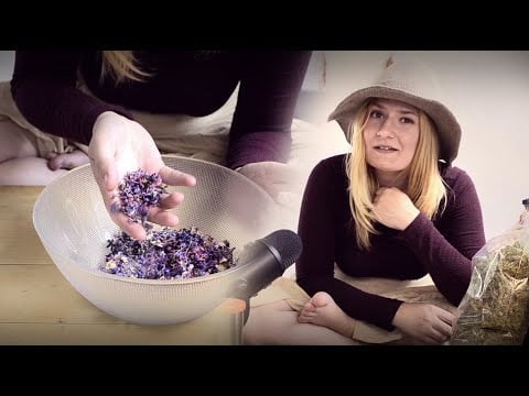🌿ASMR what herbs i picked so far in 2025 WHISPERED🌿