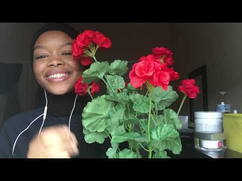 my first ASMR video! 6 years ago