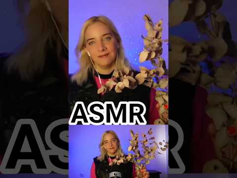 ASMR CON FLORES SECAS 🍂 #asmr #ASMR #asmrdormir #asmrdormirrápido #asmrespañol #asmrrelax