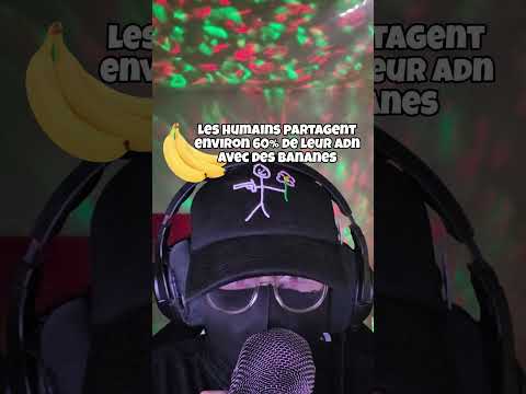 ASMR • 5 INFOS INSOLITES QUE TU DOIS CONNAITRE !  🧡 #asmrfrançais #triggersforsleep #asmr #sleep