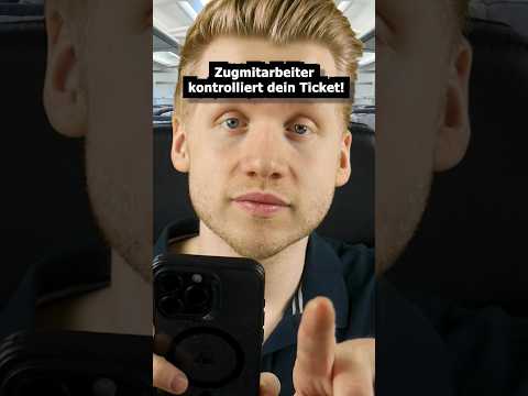 Zugmitarbeiter kontrolliert dein Ticket! #asmr