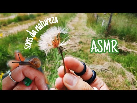 ASMR NO CAMPO (subi num trator kkk)🌿🌾🦗